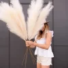 90/120cm Fluffy Pampas Grass – Wedding & Home Table Decor 2