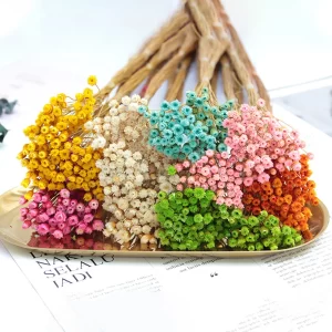 50Pcs Dried Flowers – Natural Floral Photography & Home Decor 1