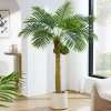 120cm To 220cm Artificial Coconut Tree 6