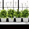 Artificial Plant Tree for Window Sill or Office Desk 6
