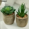 Mini Evergreen Artificial Succulent Plants 4