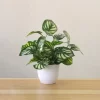 Boston Ferns – UV-Resistant Realistic Greenery (57/67cm) 3