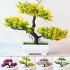 Artificial Bonsai – Small Faux Tree for Home & Office 5