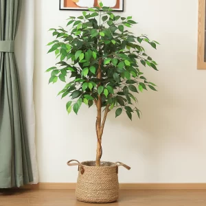 Artificial Ficus Tree with Natural Wood Trunk 1