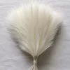 Pampas Grass Bouquet for Bedroom & Wedding Decor 2