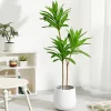 Potted Bonsai Tree – Elegant Greenery for Home & Events 2