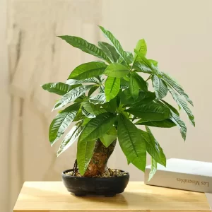 43cm Artificial Monstera Tree Potted Fake Tropical Money Plants 1