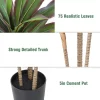 Dracaena Artificial Plant (4ft) 4