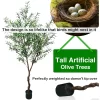 7Ft Artificial Faux Olive Tree with Lifelike Fruits 2