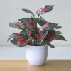 Artificial Potted Bonsai Green Tree 6