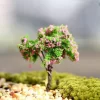 Rural Style Sakura Miniature Trees 4