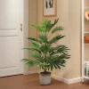 78cm Tall Palm Plant – Vibrant Fake Coconut Tree 3