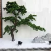 Large Artificial Pine Bonsai for Home & Office 4