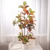 30-100cm Fake Tropical Rubber Tree 3