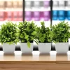 Artificial Plant Tree for Window Sill or Office Desk 2