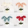 9 Heads Butterfly Orchid Artificial Silk Flowers for Wedding Home Decor 2