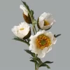 4-Head Poppy Bloom for Living Spaces & Dining Accents 6