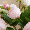 European-Style 2 Heads Simulated Peony Silk Flowers for Wedding Home Decor 5