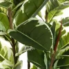 5ft Artificial Rubber Tree 2