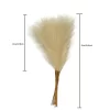 55CM 10Pcs Fluffy Pampas Grass for Boho Wedding & Home Decor 6