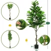 Artificial Fiddle Leaf Fig Tree 6FT Tall 5