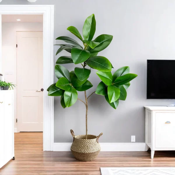 Artificial Ficus Tree Branches with Banyan Leaves 1