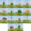 Rural Style Sakura Miniature Trees 6