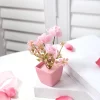 5PCS Mini Pink Potted Flowers for Desktop & Shelf Decor 3