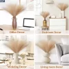 Pampas Grass Bouquet for Bedroom & Wedding Decor 5