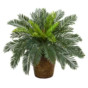 45cm Tropical Cycad Branch 1