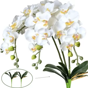 Butterfly Orchid – Faux Moth Orchids for Wedding & Home Decor 1