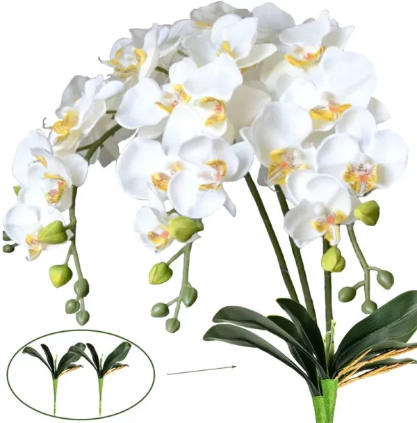 Butterfly Orchid – Faux Moth Orchids for Wedding & Home Decor 1