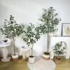 60-190cm Eucalyptus & Banyan Branches 5