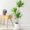 Potted Bonsai Tree – Elegant Greenery for Home & Events 3