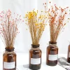 50Pcs Dried Flowers – Natural Floral Photography & Home Decor 5