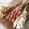 Dried Pampas Grass & Rabbit Tail Bouquet 2