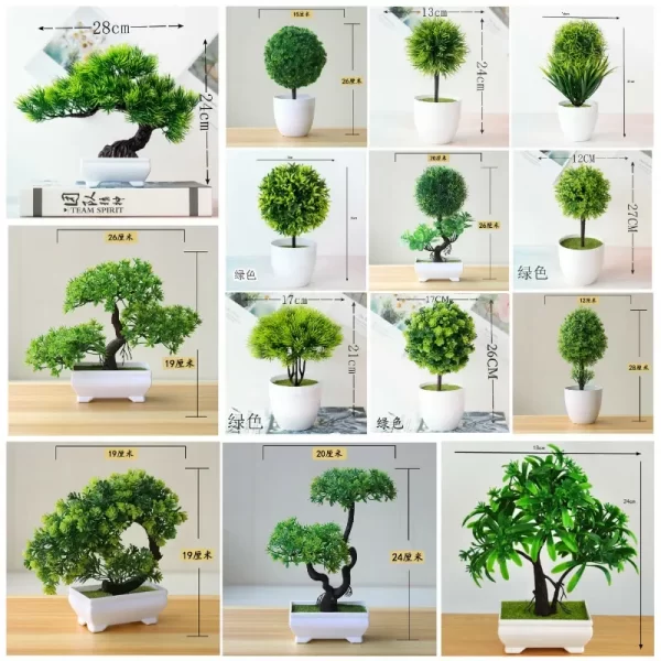 Potted Pine Bonsai for Table & Office Decoration 1