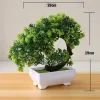 Mini Bonsai Tree for Home & Festival Decoration 4