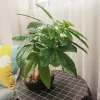 43cm Artificial Monstera Tree Potted Fake Tropical Money Plants 2