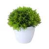 Artificial Potted Bonsai Green Tree 5