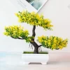 Mini Potted Pine Bonsai for Desk & Home Decor 4