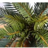 45cm Tropical Cycad Branch 6