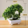 Mini Bonsai Artificial Tree 2