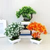 Artificial Sakura Snowball Bonsai 5