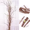 300cm Artificial Rattan Vine with Branches 2