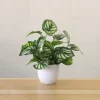 Artificial Potted Bonsai Green Tree 5