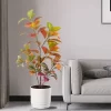 30-100cm Fake Tropical Rubber Tree 2