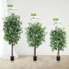 Tall Artificial Ficus Tree 6