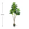 Set of 2 Artificial Fiddle Leaf Fig Trees 2