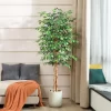 Artificial Ficus Trees with Curved Trunks 3